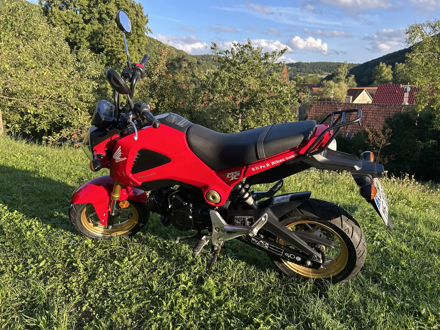 Honda MSX 125 - 1