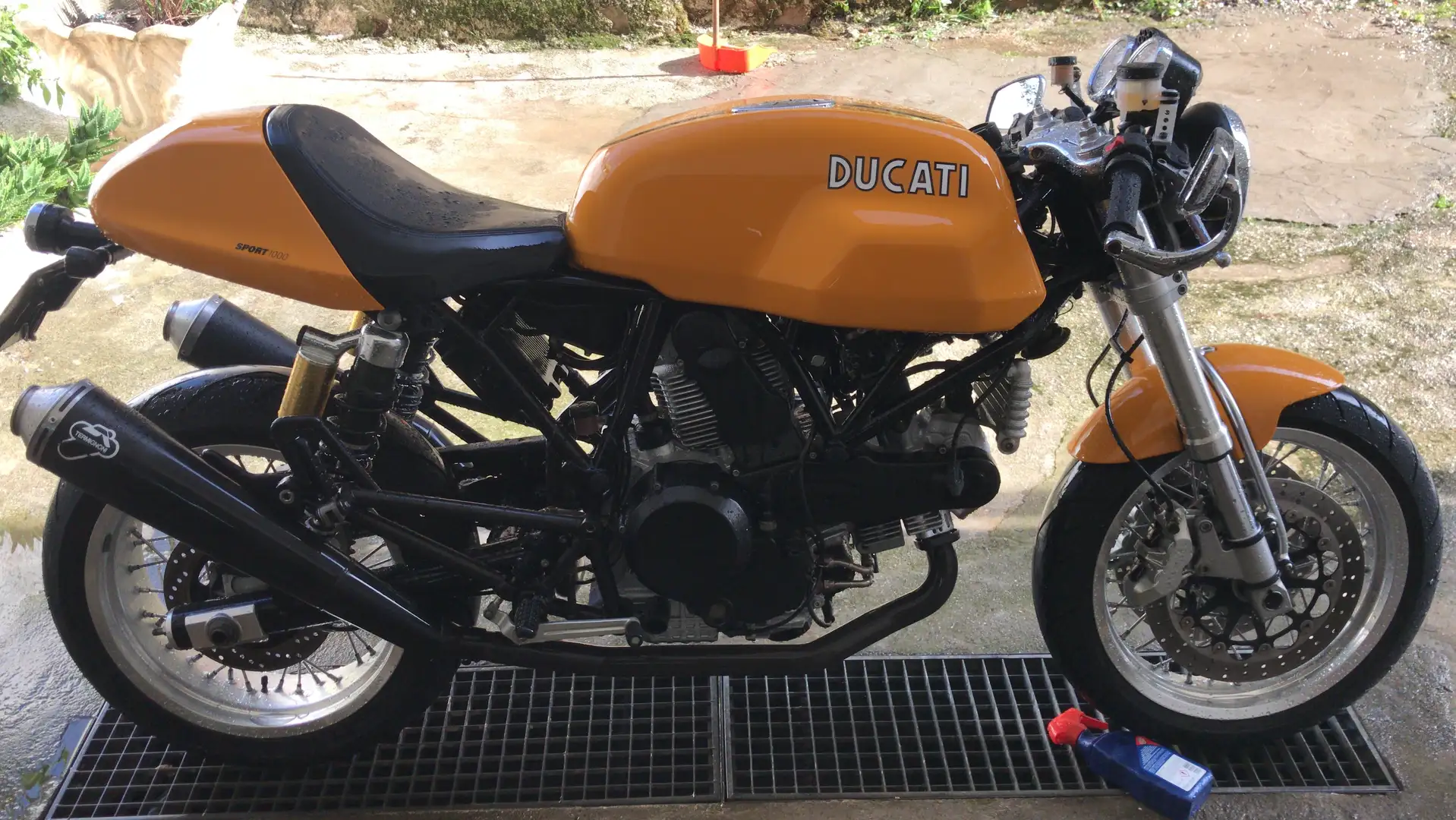 Ducati 1000 Sport Biposto Jaune - 2