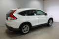 Honda CR-V Lifestyle 4WD Xenon AHK Wit - thumbnail 5