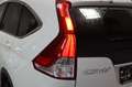 Honda CR-V Lifestyle 4WD Xenon AHK Wit - thumbnail 20