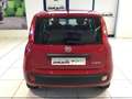 Fiat Panda S9 1.0 Hybrid Panda - PROMO LUGLIO + TARGA Rosso - thumbnail 7
