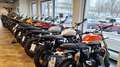 Triumph Tiger 1200 Rally Explorer NEUZUGANG / KOFFER Verde - thumbnail 6