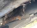 Opel Movano Movano 2.5 CDTI L1H1 Silber - thumbnail 13