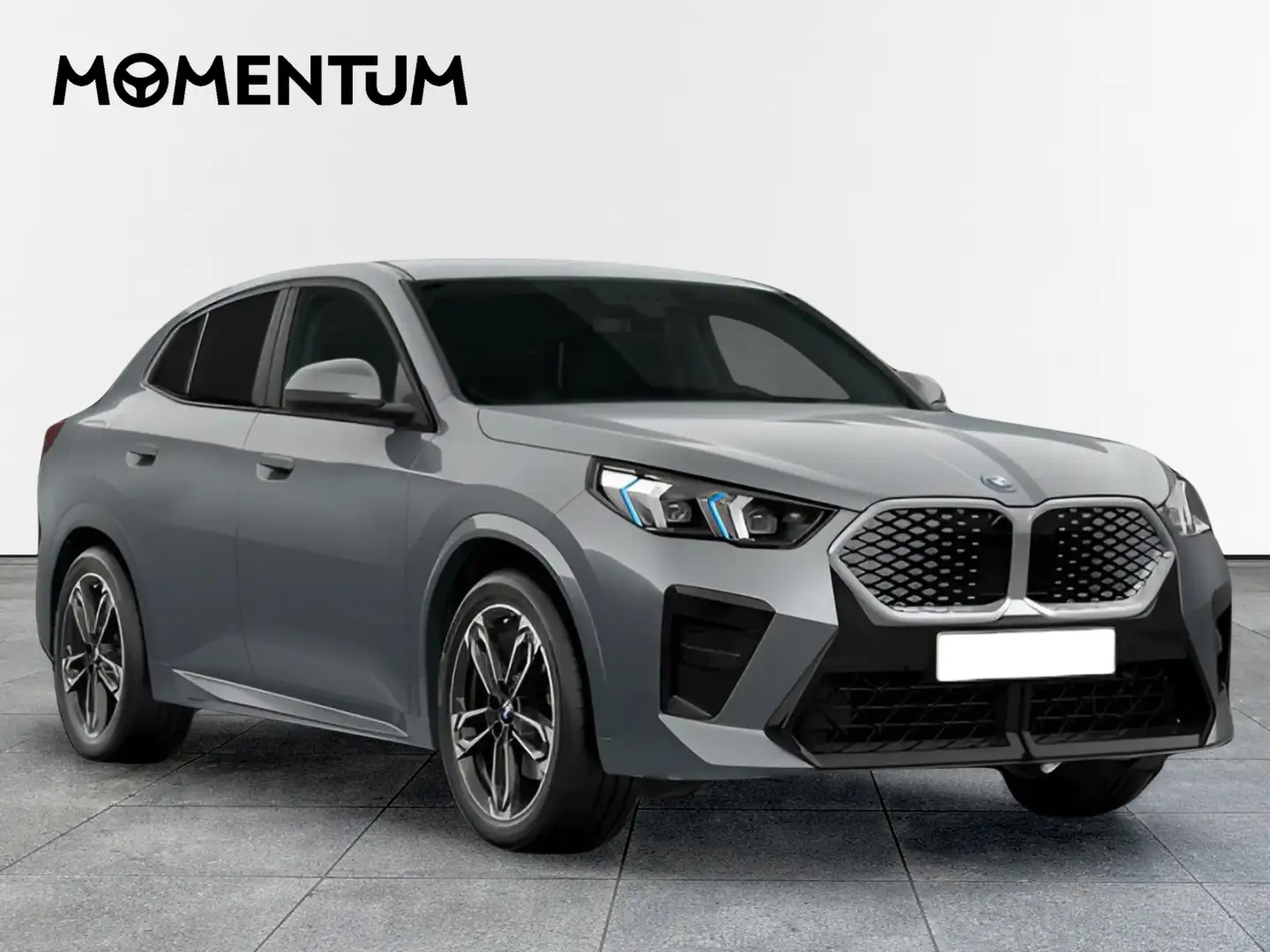 BMW iX2 xDrive30A Gris - 2