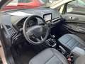Ford EcoSport 1.0 EcoBoost Titanium - Navi - Bluetooth - DAB Beige - thumbnail 5
