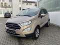 Ford EcoSport 1.0 EcoBoost Titanium - Navi - Bluetooth - DAB Beige - thumbnail 1
