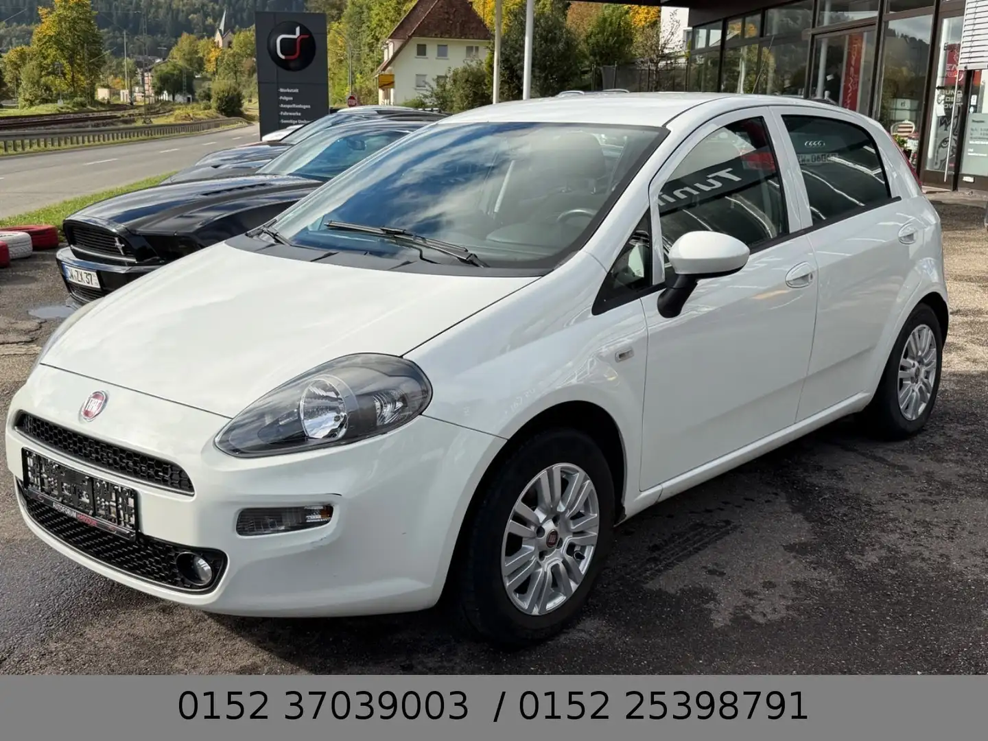 Fiat Punto Evo Multijet SHZ Klimaautomatik Tempomat Weiß - 2