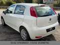 Fiat Punto Evo Multijet SHZ Klimaautomatik Tempomat Weiß - thumbnail 11