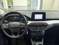 Ford Focus Focus SW 1.5 ecoblue Business 120cv auto Argento - thumbnail 11