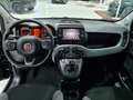 Fiat Panda New MY21 1.0 70CV Hybrid City Life Nero - thumbnail 11