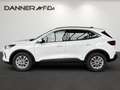 Ford Kuga TITANIUM 150 PS EcoBoost/Benzin (PROMPT VERFÜGB... Weiß - thumbnail 5