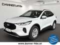 Ford Kuga TITANIUM 150 PS EcoBoost/Benzin (PROMPT VERFÜGB... Weiß - thumbnail 1
