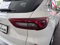 Ford Kuga TITANIUM 150 PS EcoBoost/Benzin (PROMPT VERFÜGB... Weiß - thumbnail 10