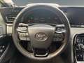 Toyota Mirai Executive 360/JBL/NAVI Silber - thumbnail 13