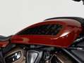 Harley-Davidson Sportster S RH1250S Solid Colour Rot - thumbnail 4