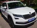 Skoda Kodiaq Kodiaq Diesel 2.0 TDI 4x4 DSG Scout Weiß - thumbnail 1