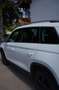 Skoda Kodiaq Kodiaq Diesel 2.0 TDI 4x4 DSG Scout Weiß - thumbnail 3