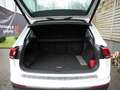 Volkswagen Tiguan 1.5 TSI Highline Wit - thumbnail 11