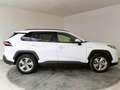 Toyota RAV 4 RAV4 RA  - MY20 Blanco - thumbnail 17