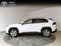 Toyota RAV 4 RAV4 RA  - MY20 Blanco - thumbnail 3