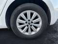 SEAT Ibiza 1.0 MPI S&S Style XM 80 Blanco - thumbnail 14
