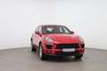 Porsche Macan Basis Rot - thumbnail 8