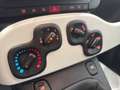 Fiat Panda Panda 1.0 FireFly S&S Hybrid Pandina Bianco - thumbnail 9