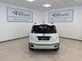 Fiat Panda Panda 1.0 FireFly S&S Hybrid Pandina Bianco - thumbnail 13