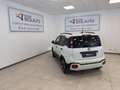 Fiat Panda Panda 1.0 FireFly S&S Hybrid Pandina Bianco - thumbnail 15