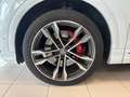 Audi SQ8 SQ8 - IVA - MOTORE SOSTITUITO - Wit - thumbnail 13