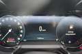 Alfa Romeo Giulia Competizione Q4 Werksgarantie 05-2027 - thumbnail 14