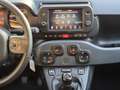 Fiat Panda Cross 1.0 FireFly S&S Hybrid Vert - thumbnail 14