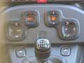 Fiat Panda Cross 1.0 FireFly S&S Hybrid Vert - thumbnail 17
