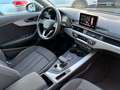 Audi A4 allroad A4 Allroad 40 2.0 tdi Business 190cv s-tronic my16 Grau - thumbnail 22