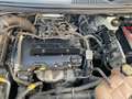 Chevrolet Aveo 1.2 LS 70cv 5p NEOPATENTATI Bianco - thumbnail 14