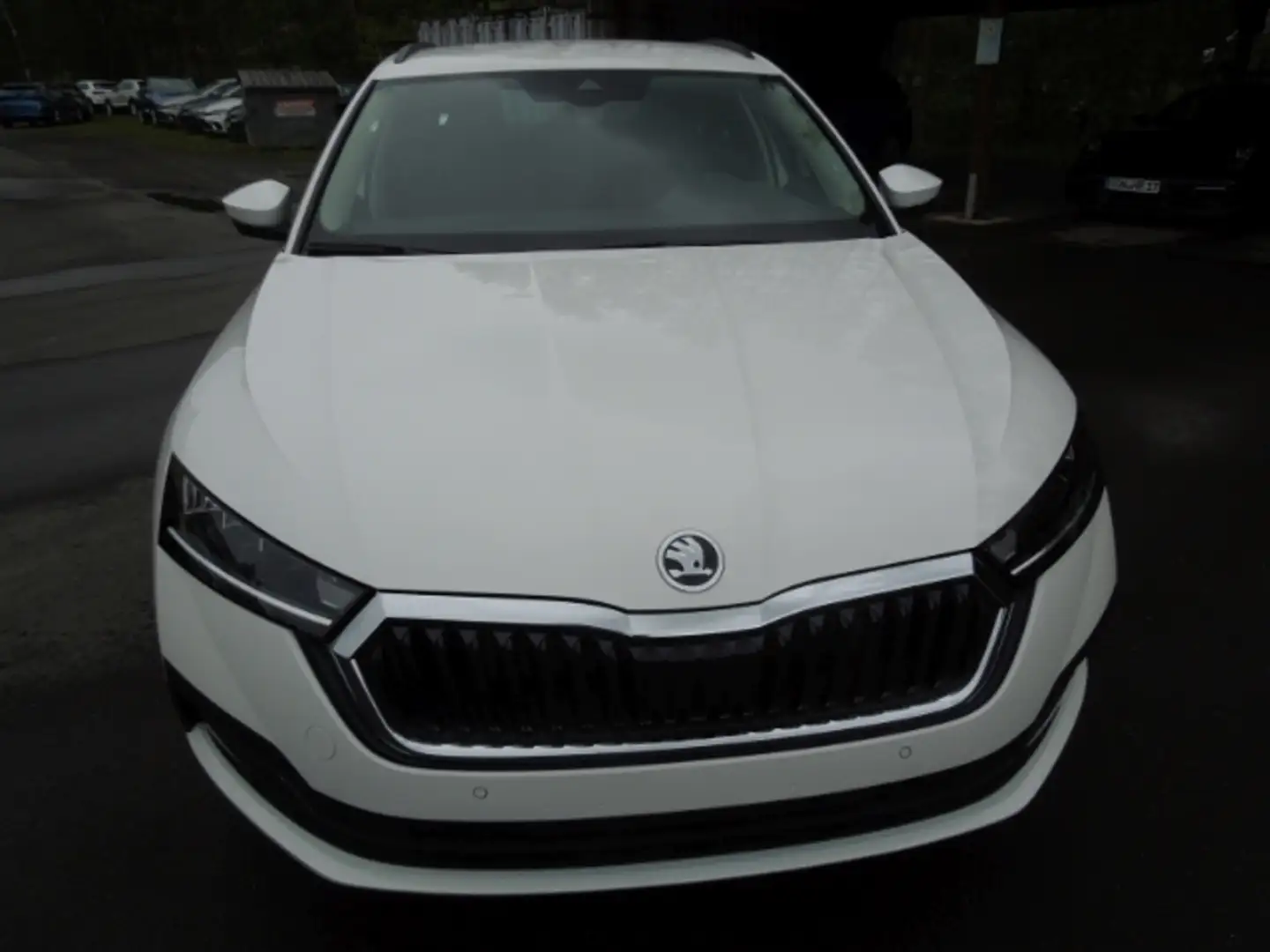 Skoda Octavia Combi 1.0 TSI Fresh/LED/Kamera/el.Klappe Weiß - 2