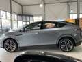 Xpeng Sonstige G6 *AWD Performance*AHK* Grau - thumbnail 4