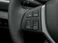 Suzuki SX4 S-Cross 1.4 Comfort+Allgrip Hybrid Grau - thumbnail 14