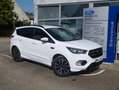 Ford Kuga II 1.5 150 BV6 ST-LINE / E85 ST LINE Blanc - thumbnail 1