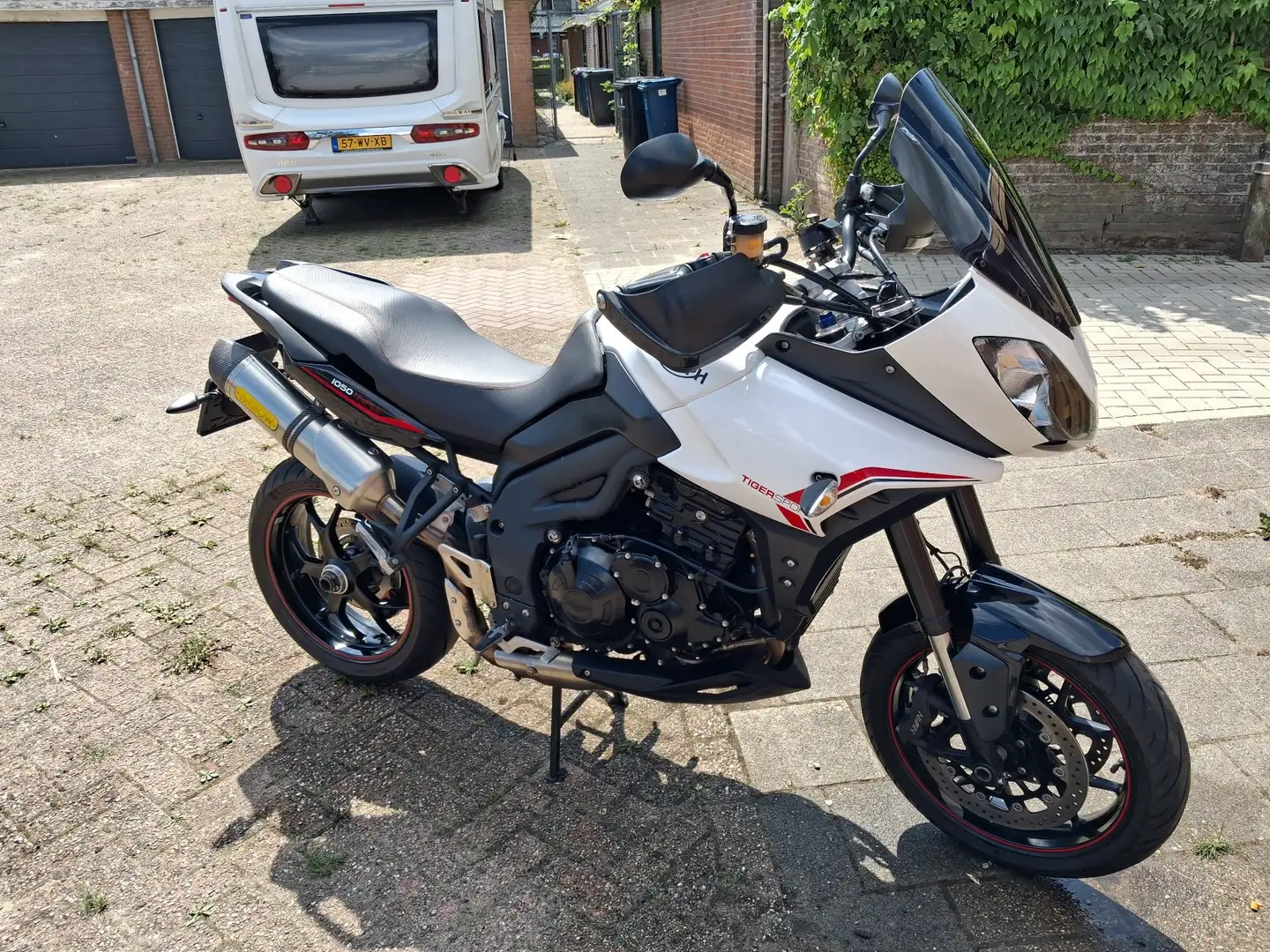 Triumph Tiger 1050 Wit - 1