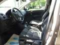 Volkswagen Golf Plus Match 1,4TSI 90 kw DSG Automatik Winterpaket Clima Braun - thumbnail 11