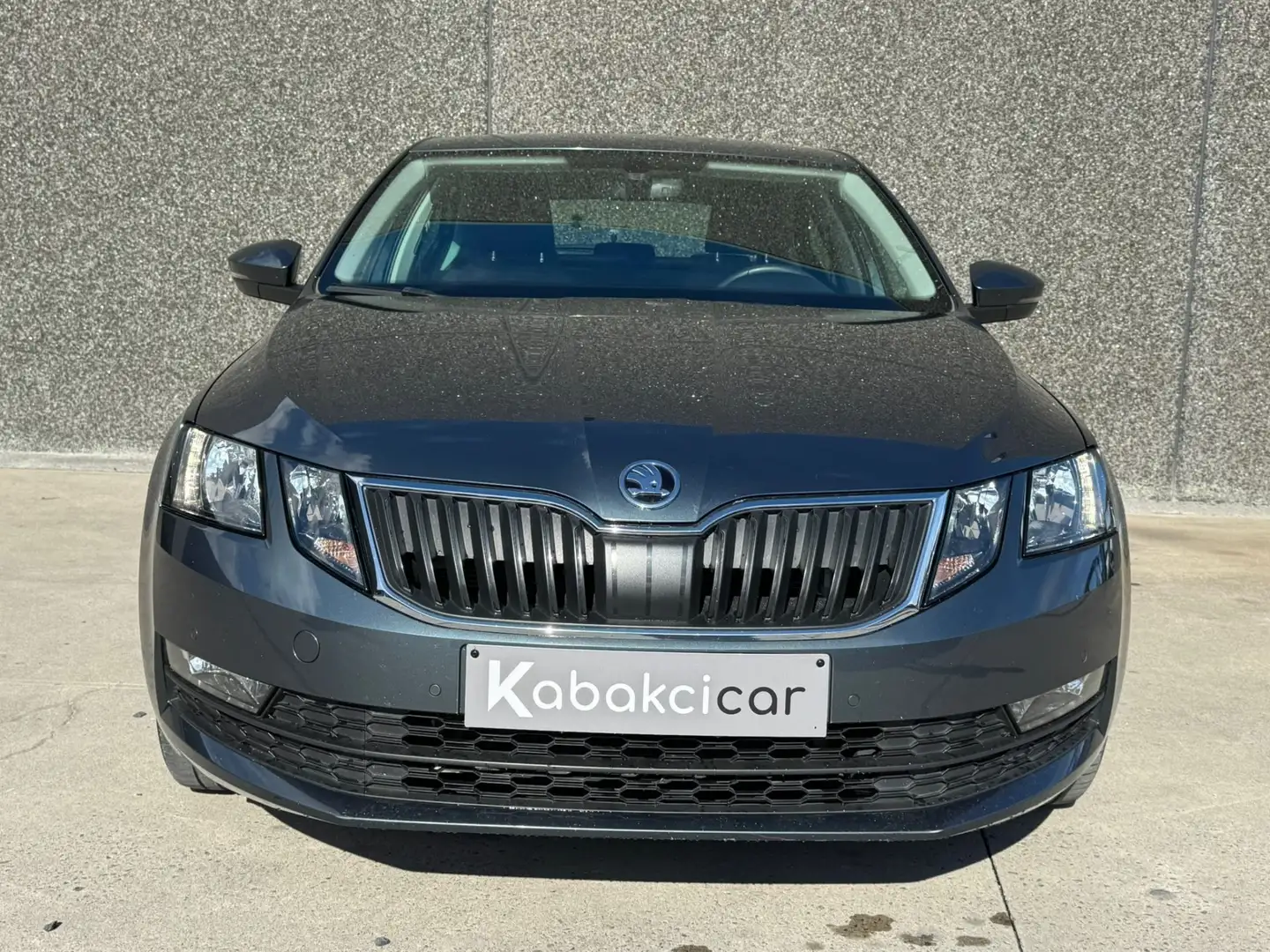 Skoda Octavia 1.4 TSI/CNG/CARPLAY/CAPTEURS/AC/BT/GARANTIE Grau - 2