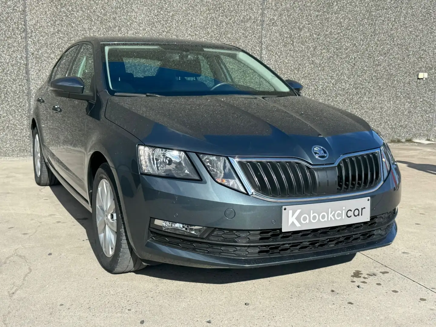 Skoda Octavia 1.4 TSI/CNG/CARPLAY/CAPTEURS/AC/BT/GARANTIE Grau - 1