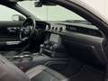 Ford Mustang GT Coupe 5.0 V8 GT500 Opt./Brembo/R19 Gris - thumbnail 14