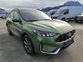 Ford Kuga 2,5 Duratec FHEV ST-Line X Aut. Grün - thumbnail 6