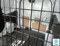 Ford Transit Courier Van 1.5TDCi Trend 75 Blanco - thumbnail 10
