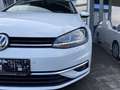 Volkswagen Golf Variant Variant Comfortline 1.6 TDI BMT Weiß - thumbnail 8