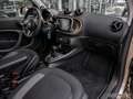 smart forTwo EXCLUSIVE Goldmetallic LAST ONE JBL DAB Bronze - thumbnail 7
