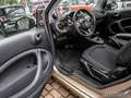 smart forTwo EXCLUSIVE Goldmetallic LAST ONE JBL DAB Bronze - thumbnail 9