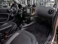 smart forTwo EXCLUSIVE Goldmetallic LAST ONE JBL DAB Bronze - thumbnail 7